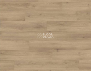 Ламинат Haro Tritty 100 4V ДУБ ЭМИЛИЯ ПУРО 538691 фото 1 | FLOORDEALER